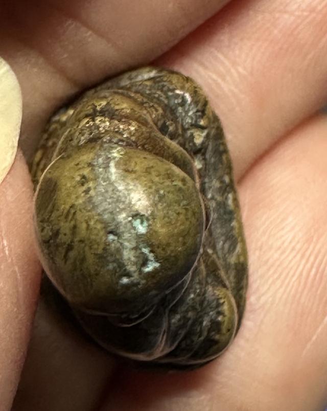 🙏รูปหล่อล.พ.เงิน พิมพ์นิยม  6