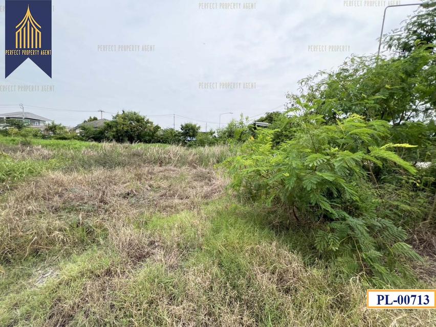 ขายที่ดิน 77ไร่ แบ่งได้ สีม่วงเข้ม สร้างโรงงาน บางบ่อ สมุทรปราการ ใกล้นิคมเวลโกรว Wellgrow Industrial Estate 5