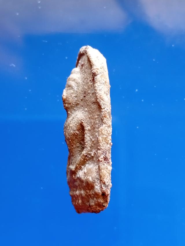 พระนอดขุนพล หลวงพ่อขัน วัดศรีอาร์ รูปย่อยที่ 4