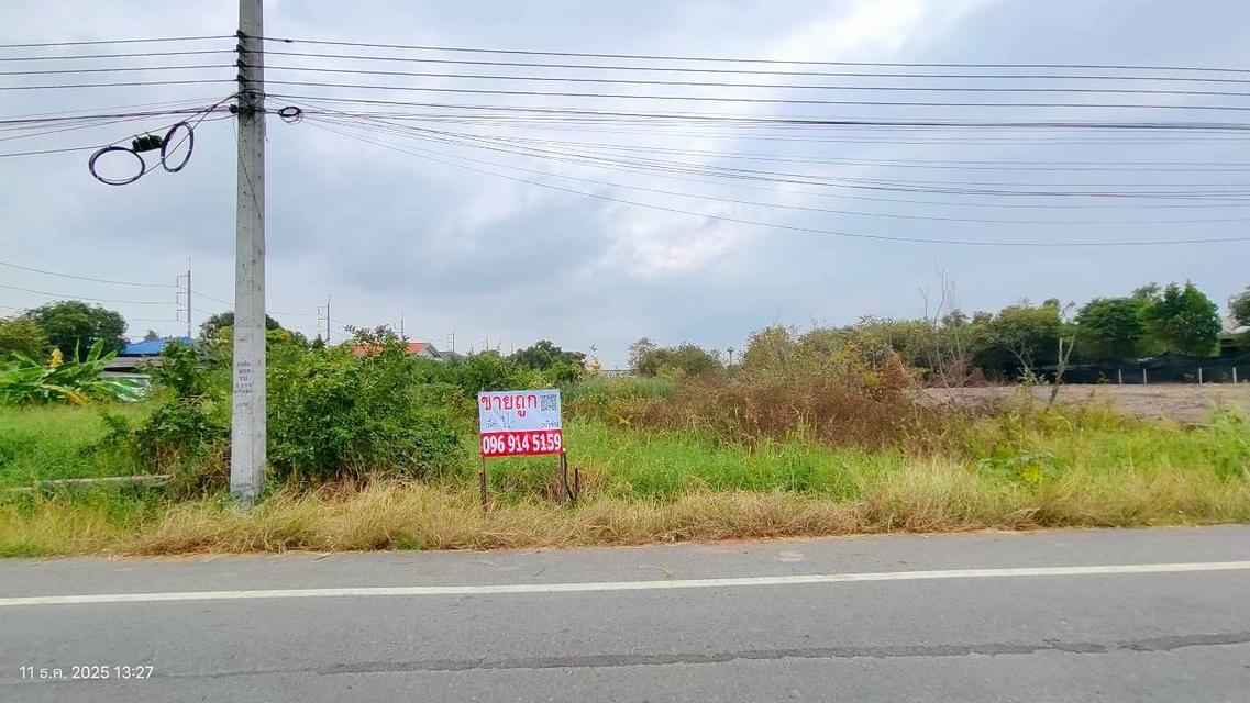 ขายที่ดิน1ไร่ถนนเชียงรากน้อย อ.บางปะอิน จ.พระนครศรีอยุธยา 8