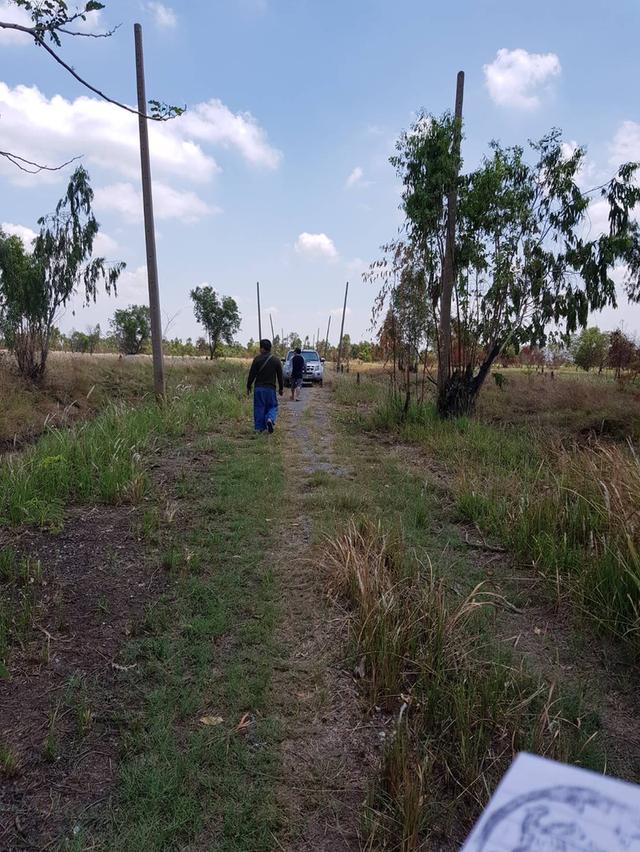 📣 ขายที่ดิน อำเภอองครักษ์ นครนายก – 2 ไร่ 20 ตร.วา หลังตลาดองครักษ์ – เข้า–ออกได้หลายทาง – ใกล้ มศว.องครักษ์ 2