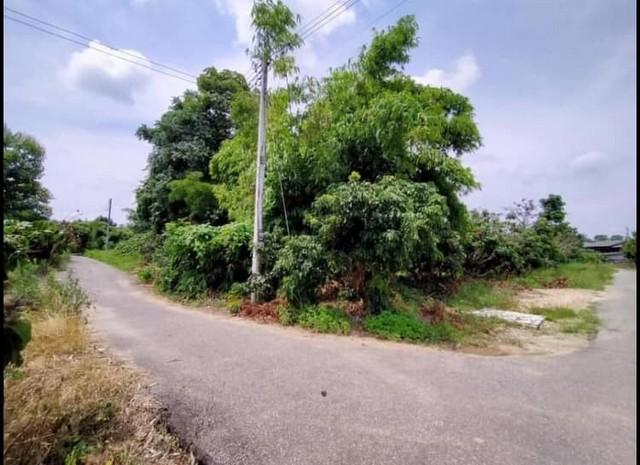 ขายที่ดิน3งาน ลดเหลือ 1.65ล้านบาท สวนลำไย ถนน ไฟฟ้า ประปา เขตติดต่อ สารภี แดนเมือง ต.อุโมงค์ เมืองลำพูน 3