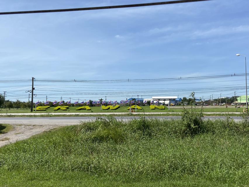 ที่ดิน 5 ไร่ หน้าโรงงานน้ำตาลเอราวัน จ. หนองบัวลำภูลำหนองบัวลำภู 2