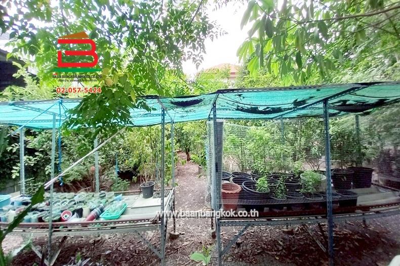 ที่ดินเปล่า ซอยนิมิตใหม่ 11 เนื้อที่ 100 ตรว. ถนนนิมิตใหม่ แขวงทรายกองดิน เขตคลองสามวา กรุงเทพมหานคร 5