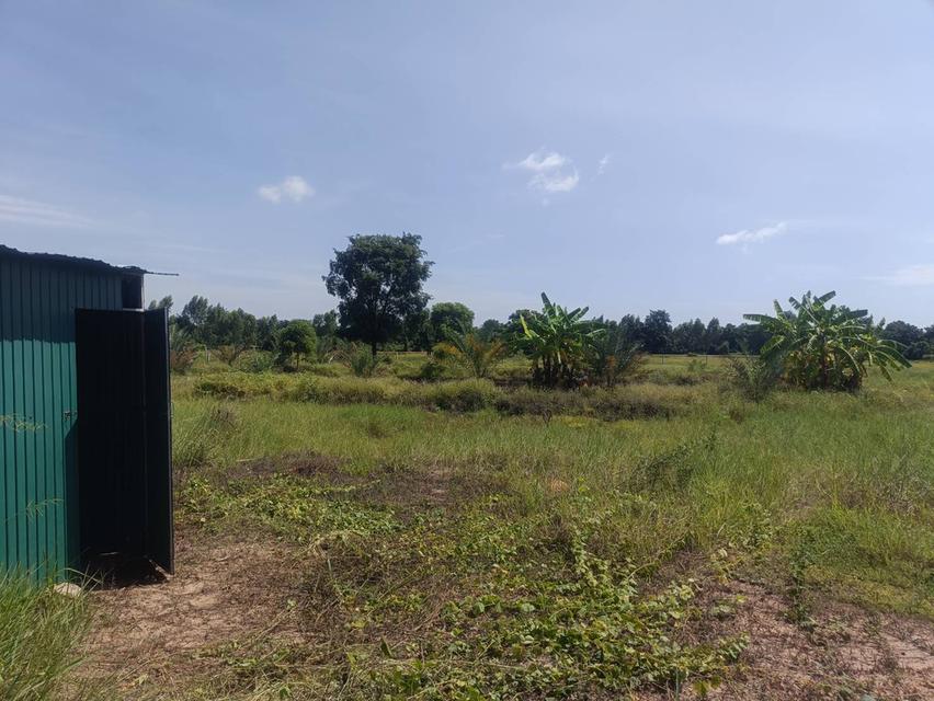 ที่ดินสุพรรณบุรี 7 ไร่ 2,500,000 ต.ดอนเจดีย์ อ.ดอนเจดีย์ จ.สุพรรณบุรี แปลงเดียวเท่านั้น โทร.อ้วน 0836955375 4