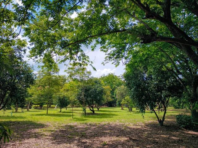 ขายที่ดินทำเลทองพร้อมสิ่งปลูกสร้าง บนเนื้อที่ 18 ไร่ 2 งาน 19 ตารางวา พิษณุโลก 2