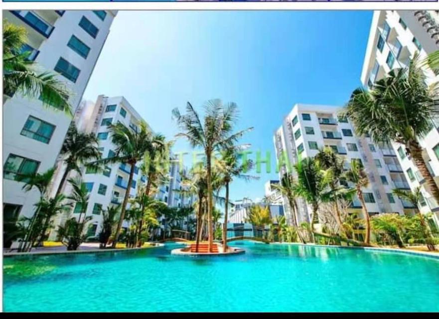 ขายดาวน์คอนโด  Arcadia Beach Continental Pattaya (อคาเดีย บีช คอนติเนนทอล) อนติเนนทอล)  6