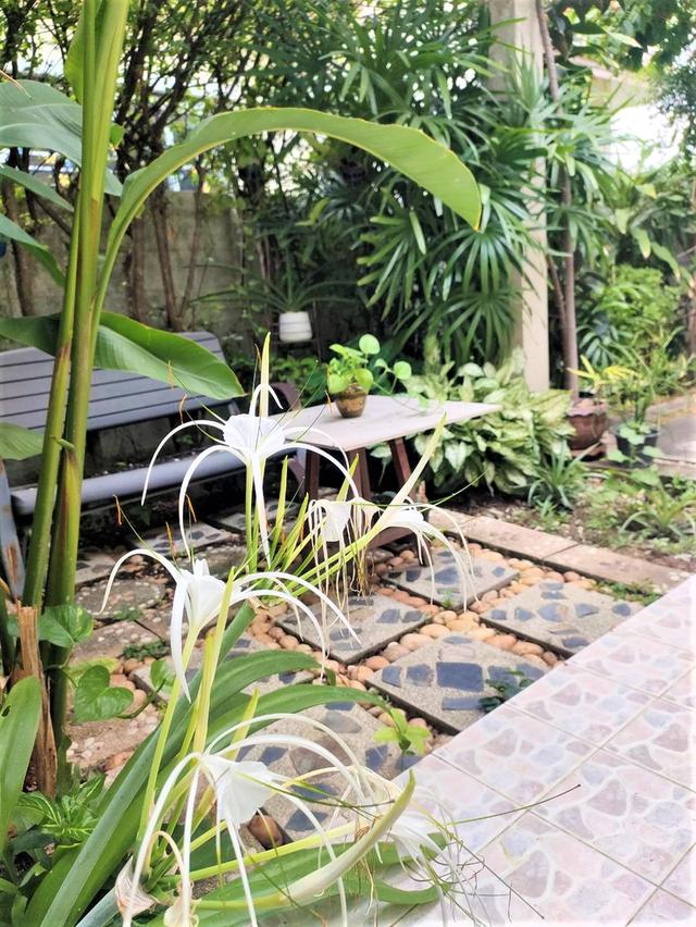 บ้านเดี่ยวชั้นเดียวร่มรื่นย่านธุรกิจ 8