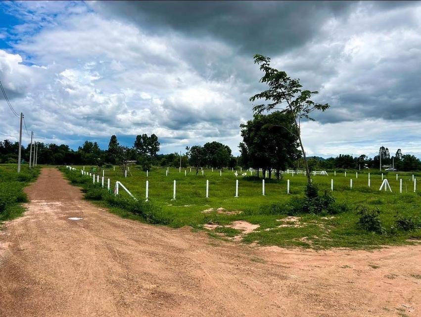 ที่ดิน โพธาราม ราชบุรี 14