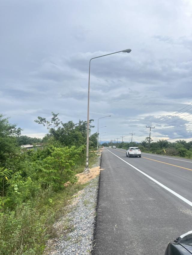 ขายที่ดินทำเลทอง ติดถนนหลัก ราคาสุดคุ้ม อนาคตไกล!  2