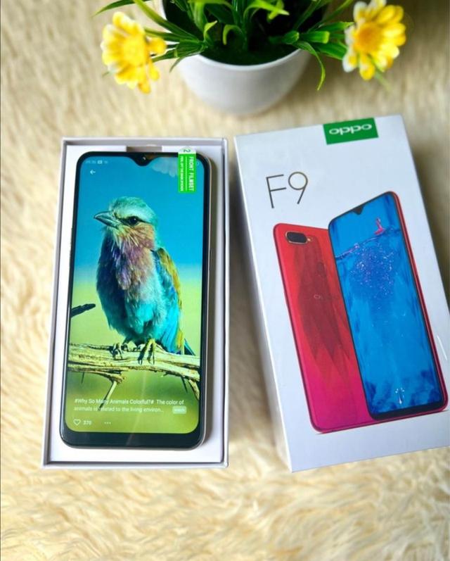 OPPO F9 8+256GB 3