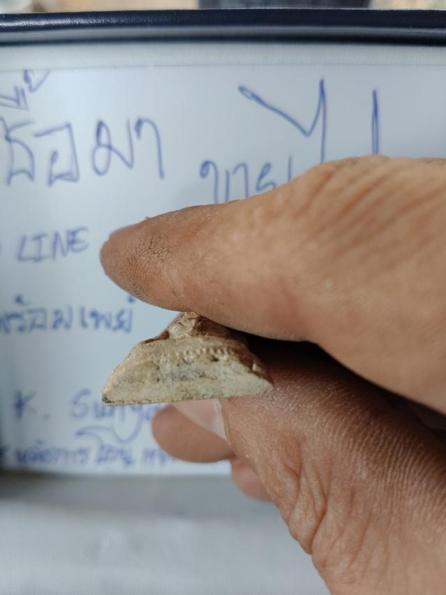 พระอะไรไม่รู้อยู่ที่บ้านครับอยากปล่อย 4