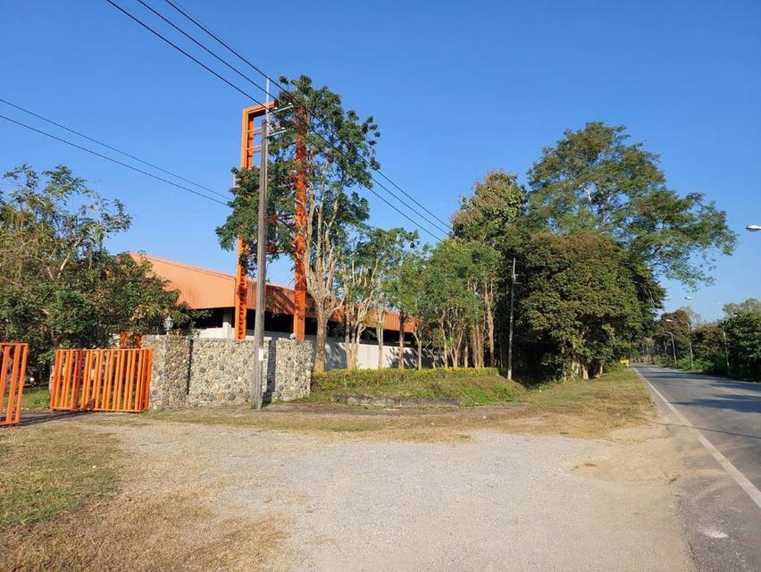 ขาย/ให้เช่าที่ดินเชียงราย 1