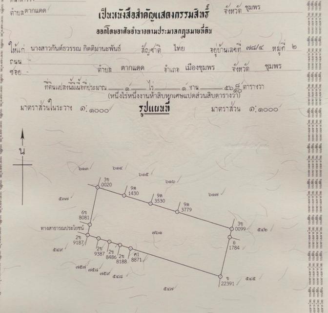 ขายที่ดิน 556 ตารางวา ใกล้ตัวเมืองชุมพร เพียง 1.5 กม. ทำเลถนน 2009 ตำบลตากแดด เมืองชุมพร ใกล้โลตัส แม็คโคร เมืองชุมพร (เจ้าของขายเอง) 12