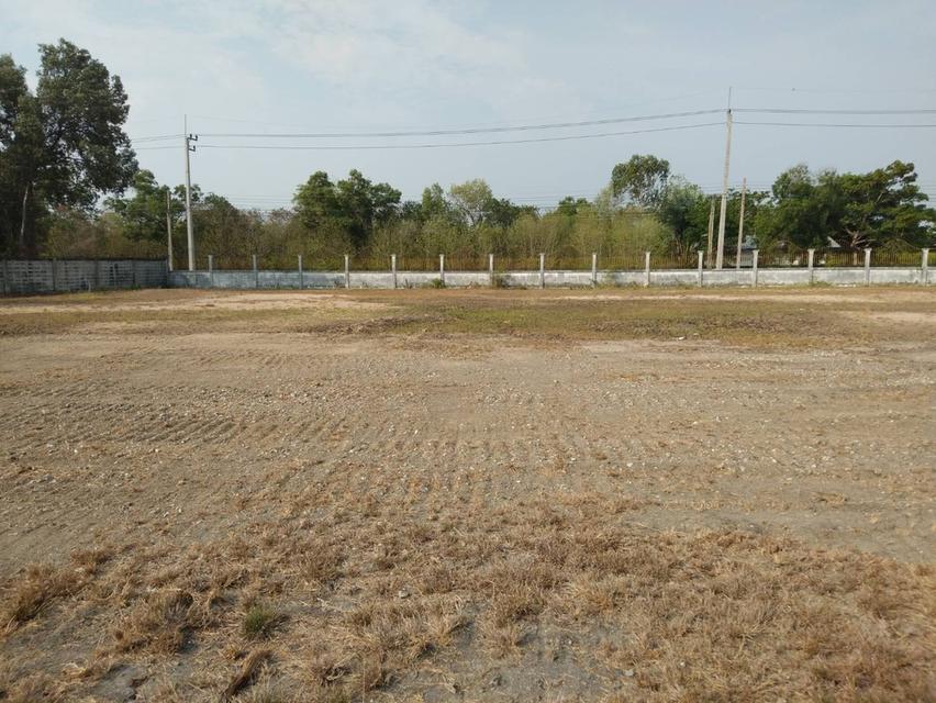 ขายที่ดิน 10ไร่ ใกล้ด่านมอเตอร์เวย์ บางปะกง 5