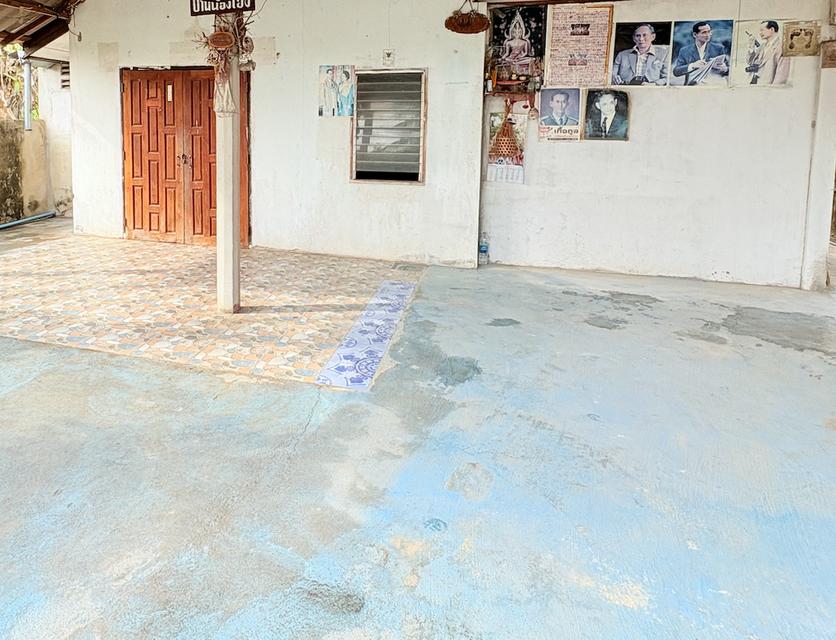 ที่ดิน พร้อมบ้านหลังเดี่ยว 1