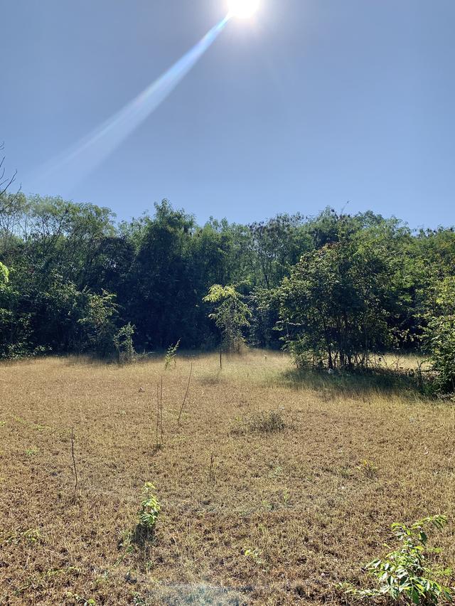 ที่ดิน 9 ไร่ 1 งาน 7 ตรว 11