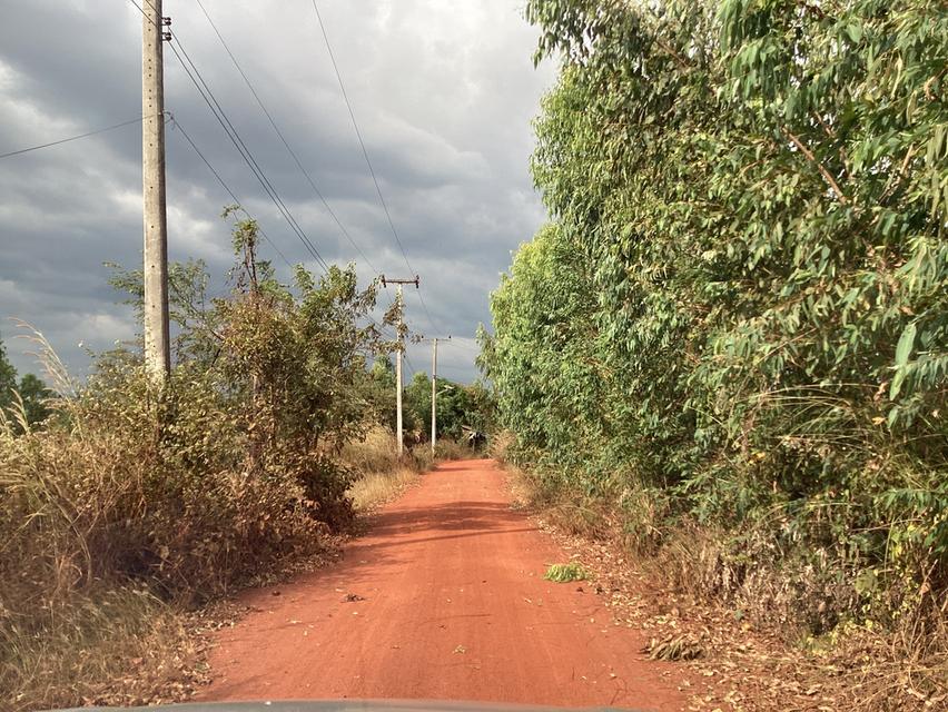 ขายที่ดิน76ไร่เพื่อโครงการโซล่าเซลล์ใน จ.สกลนคร 6