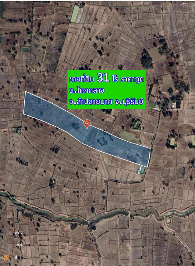 ขายที่ดินอำเภอลำปลายมาศจังหวัดบุรีรัมย์ 1