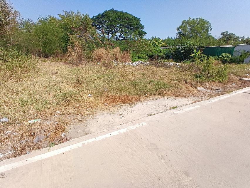 ขายที่ดินเนื้อที่ 200 ตารางวา ถมแล้ว คลองสาม 11/9 คลองหลวง จังหวัดปทุมธานี 5