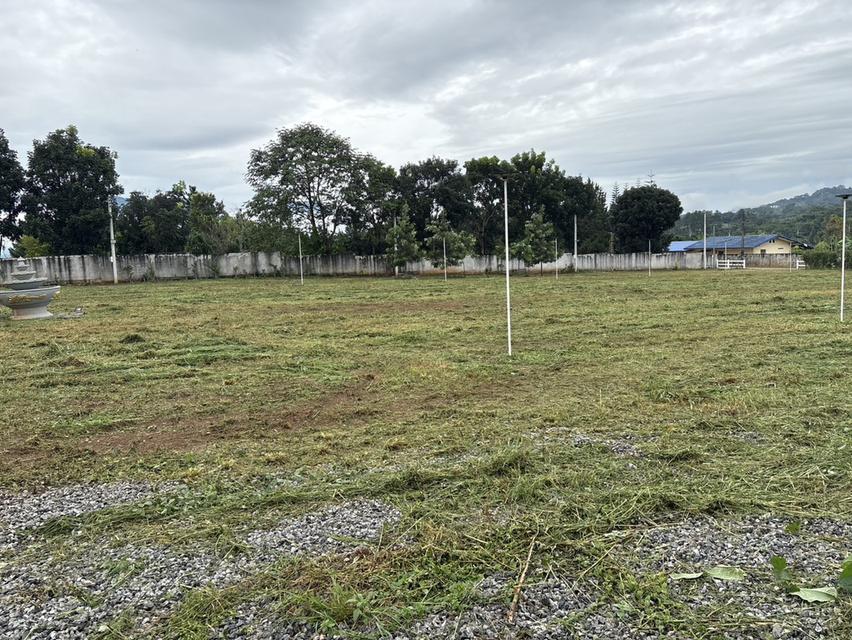 ที่ดินสถานที่ท่องเที่ยว ครุฑแดง หน้ากว้าง 67 ม ซีเมนต์ ระบบนำ้ - ไฟฟ้าเข้าถึง 17