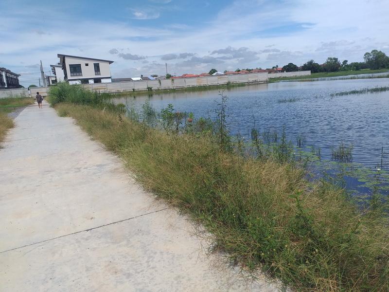 ขายที่โฉนด จำนวน 1 งาน 92 ตรว ที่ดินสี่เหลี่ยมสวย รังสิต ปทุมธานี 16