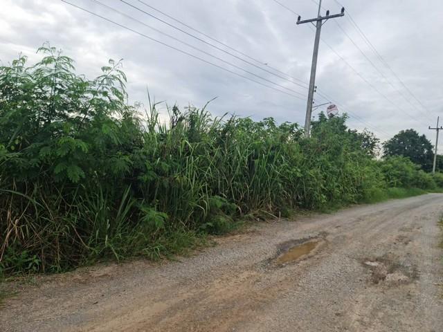 รวมบ้านที่ดินดีงามเพื่อคุณ ที่ปากช่อง 2ไร่- 8ไร่ โฉนด ต.วังไทร อ.ปากช่อง จ.นครราชสีมา ไร่ละ 2.9 ลบ.สูงจากระดับน้ำทะเลมาก 2