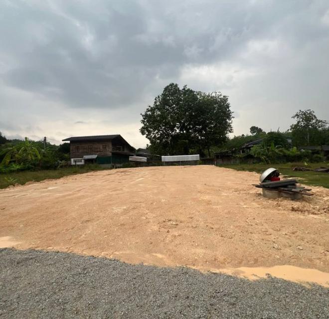 ขายที่ดินเมืองระยอง 100 ตรว. ถมแล้ว บ้านน้ำคอก-หนองตะพานซ.11 จ.ระยอง 7
