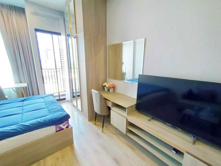 ปล่อยเช่า Knight Bridge Kaset Society ✨🌿 เพียง 1 สถานีจาก ม.เกษตร 3