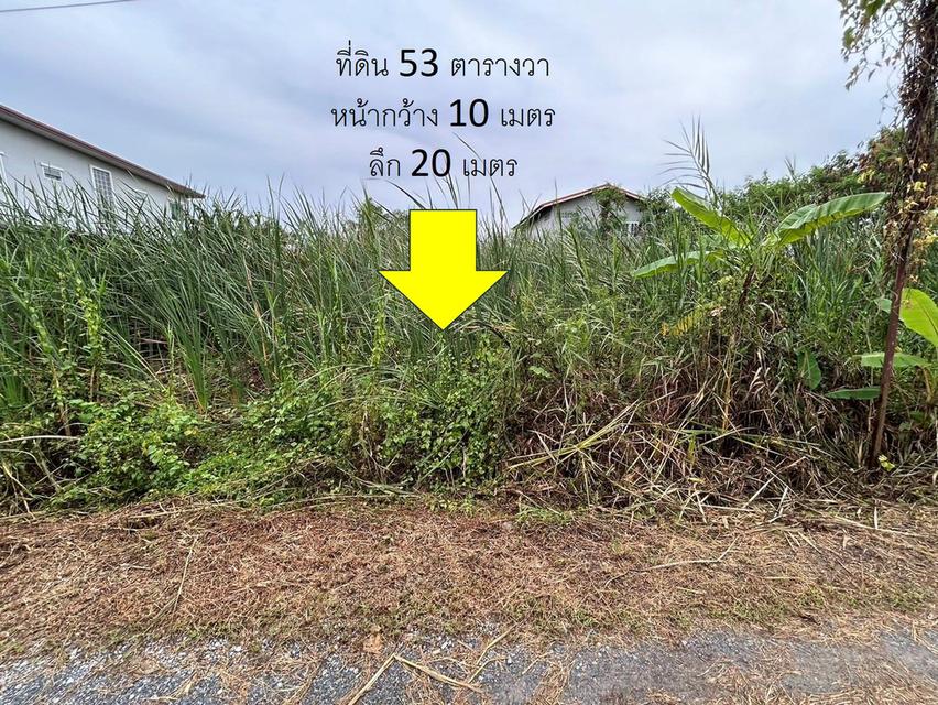 ที่ดินในบางม่วง บางใหญ่ นนทบุรี 53 ตารางวาพร้อมโอน เพียง 900,000 บาท  6