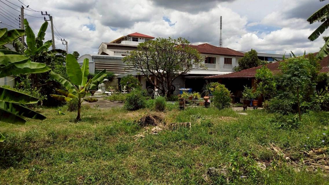 ขายที่ดินพร้อมสิ่งปลูกสร้าง แปลงมุม เนื้อที่ 336 ตรว. ซอยลาดพร้าว 107 แยก 2 แขวงคลองจั่น เขตบางกะปิ กทม. 8