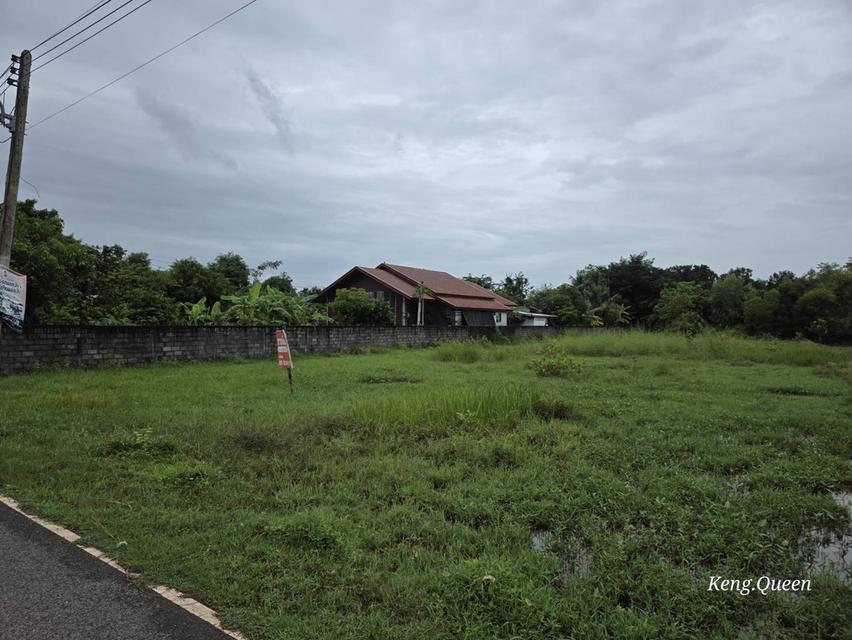 ที่ดินเปล่า บ้านพัก ตึกอาคาร 1
