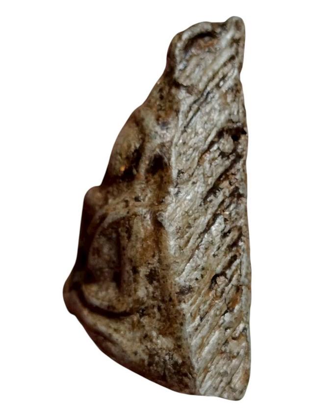 เปิดจ้า💞สนใจทักแชทได้เลยนะคะ 💚ส่งฟรีค่ะ 🥰 รูปที่ 3