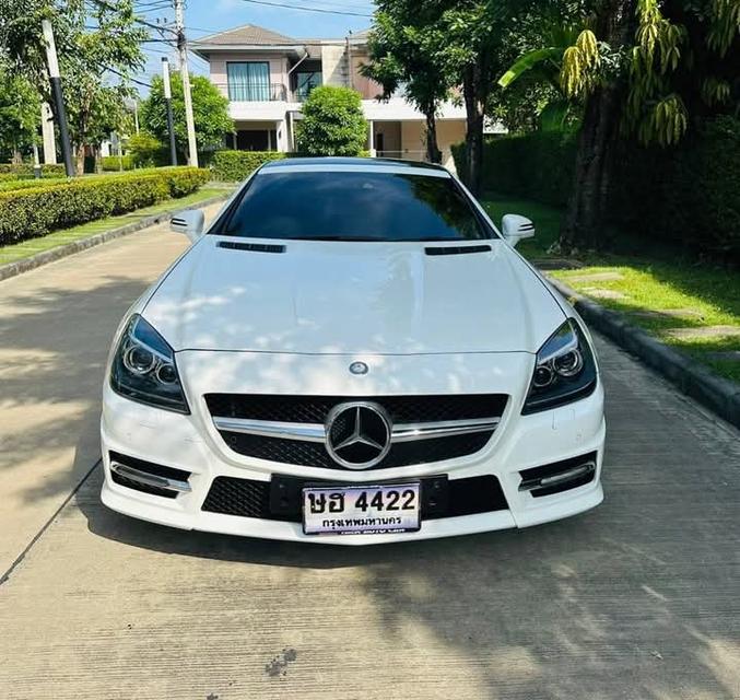 ขาย MERCEDES-BENZ SLK-CLASS