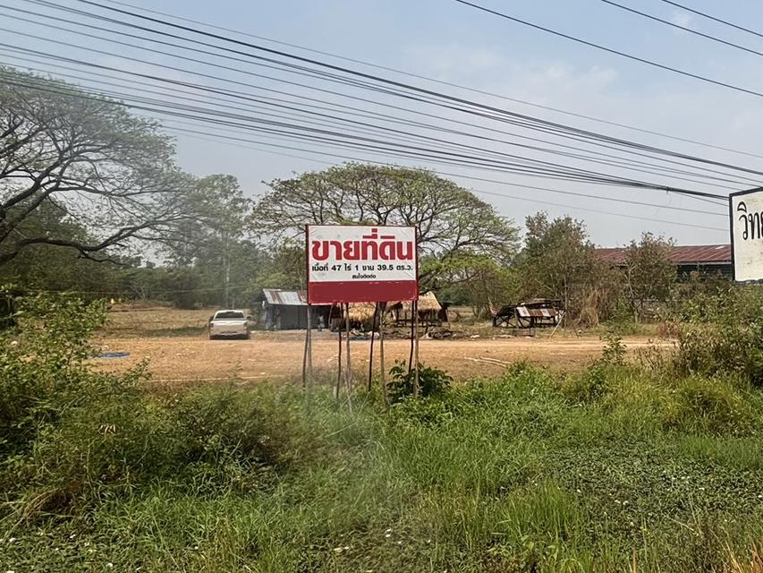 ที่ดินติดถนนหลัก 4 เลน จังหวัดมหาสารคาม 1