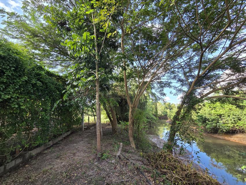 ขายที่ดิน 14 ไร่ แบ่งแปลงแล้ว สามพร้าว 7