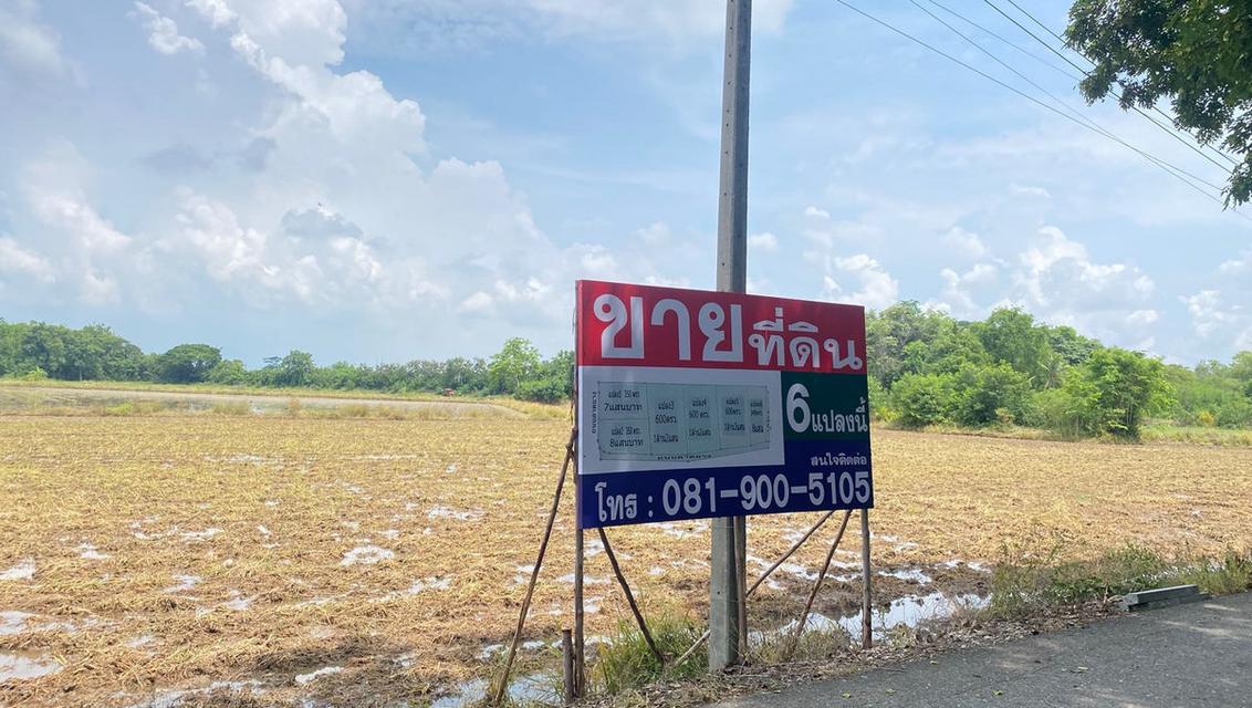 ที่ดินเปล่าแบ่งขาย 6 แปลง 350 - 600 ตารางวา (ซื้อ 2 แปลงขึ้นไป มีส่วนลด) ตำบลคชสิทธิ์ หนองแค สระบุรี 2