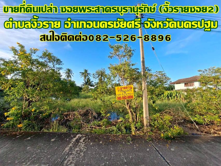 ขายที่ดินเปล่า ซอยพระสาครบุรานุรักษ์ (งิ้วรายซอย2) 1