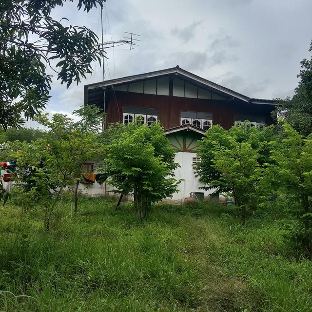 บ้านพร้อมที่ดิน 1