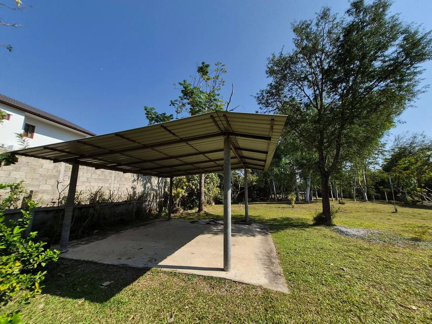 ที่ดิน ใกล้เชียงใหม่ไนท์ซาฟารี และ พืชสวนโลก จังหวัดเชียงใหม่ 3