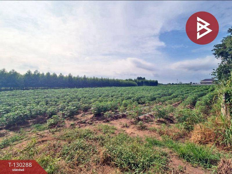 ขายที่ดิน ( แบ่งขาย 2 แปลง ) เนื้อที่ 6 ไร่ 1 งาน 42.5 ตารางวา อำเภอพนัสนิคม จังหวัดชลบุรี 5