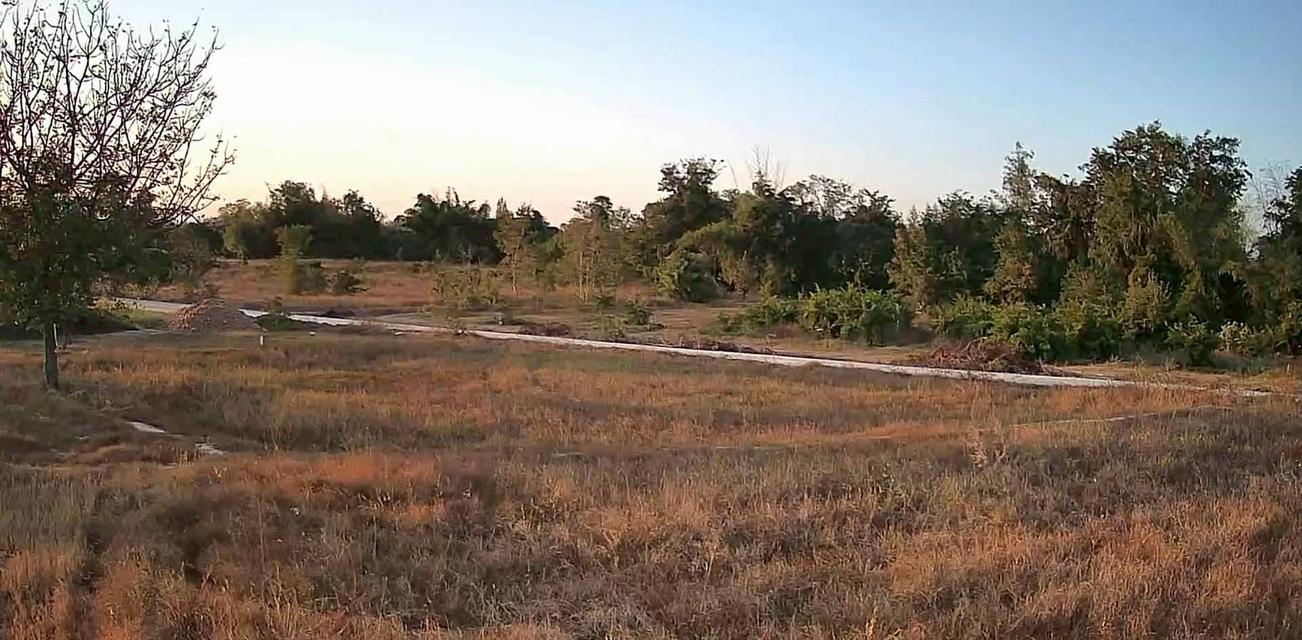 ขายที่ดิน 24 ไร่ 1 งาน 88 ตร.ว. ติดถนนคอนกรีต ใกล้ทางหลางชนบท พช 3052 2