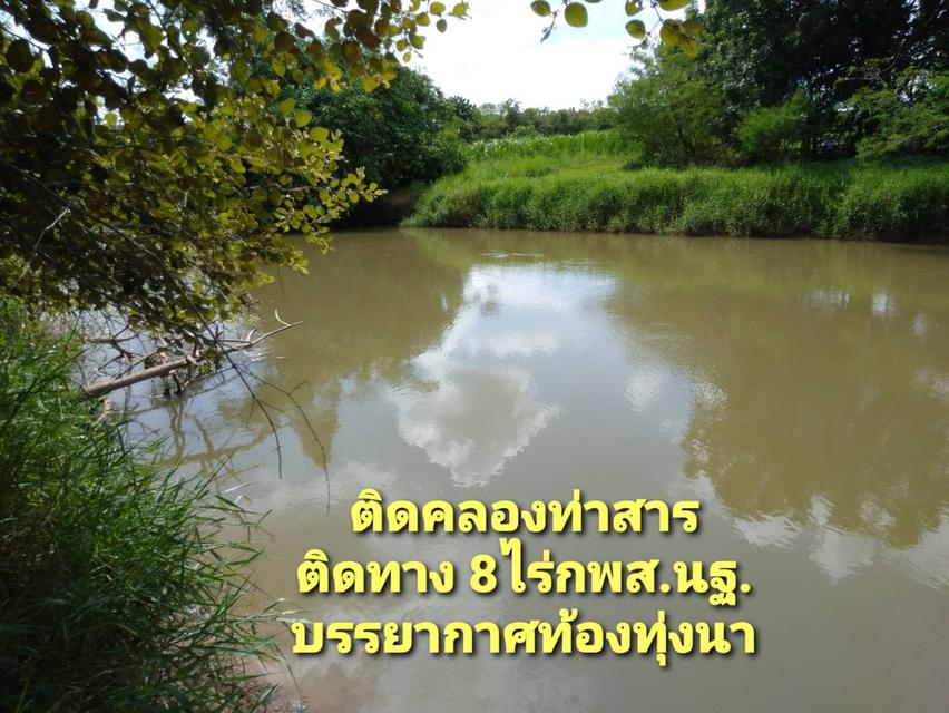 ที่ดินริมน้ำ ติดคลองท่าสารสายหลัก ได้ที่ฟรีอีกจำนวนหนึ่ง ที่สูงน้ำไม่ท่วม  8ไร่ 2
