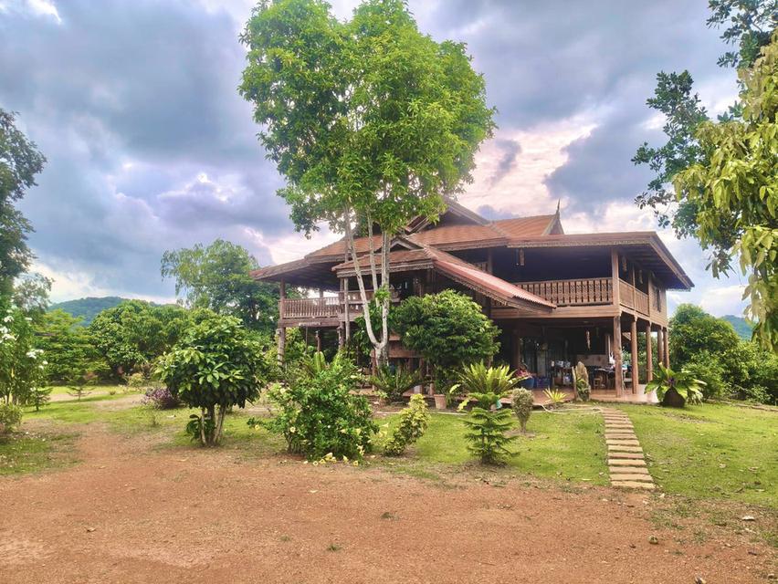 ขายที่สวนทุเรียน เขาใหญ่ ปากช่อง บ้านสวนผลไม้ คลองม่วง นครราชสีมา ที่ดิน 11 ไร่ บ้านไม้เรือนไทย ใกล้ภูเขา วิวเขาล้อมรอบสวยมาก ที่สูงอากาศดี 0879074045 14