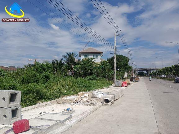 ขายที่ดิน 10 ไร่ ติดถนนพุทธมณฑล สาย 1 ใกล้ศาลอาญา ศาลแพ่ง ตลิ่งชัน 1