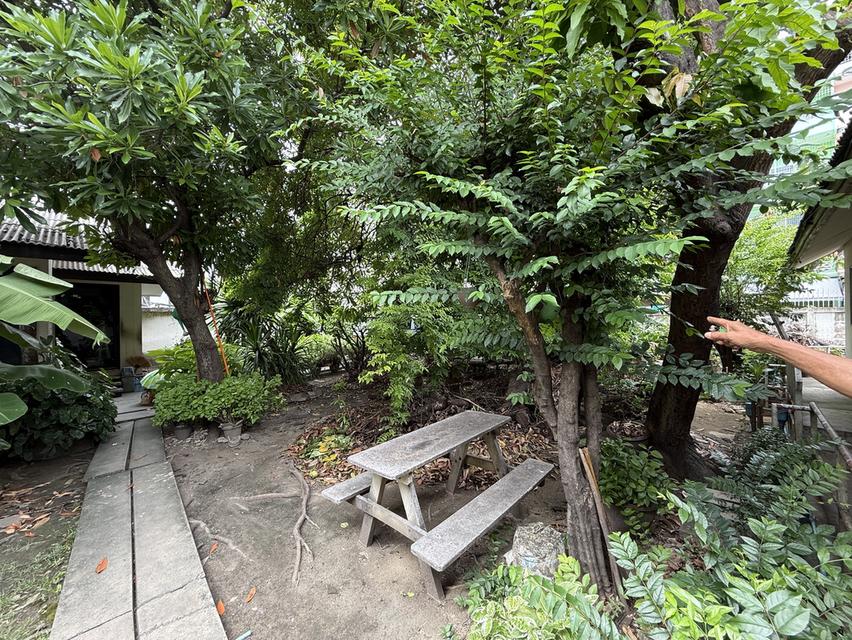 ที่ดิน บางรัก ซอยตรงข้ามสน.บางรัก 2