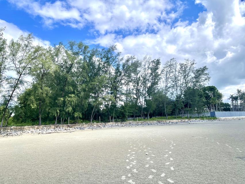 ขายถูกมาก !! ที่ดินติดทะเลระยอง 4 ไร่ ไม่มีถนนคั่น 3