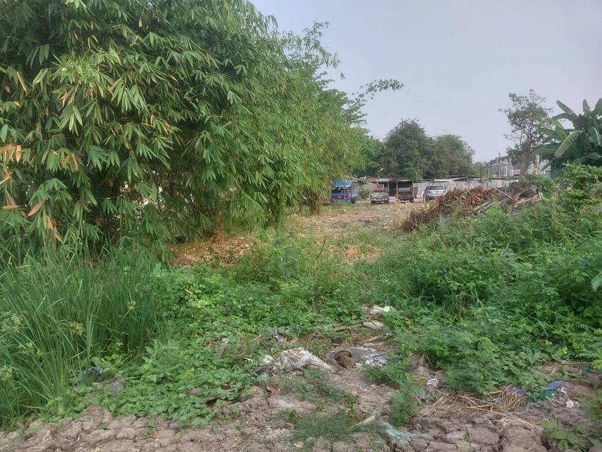 ที่ดินจังหวัดนนทบุรี ใกล้วัดเล่งเน่ยยี่ 2 2