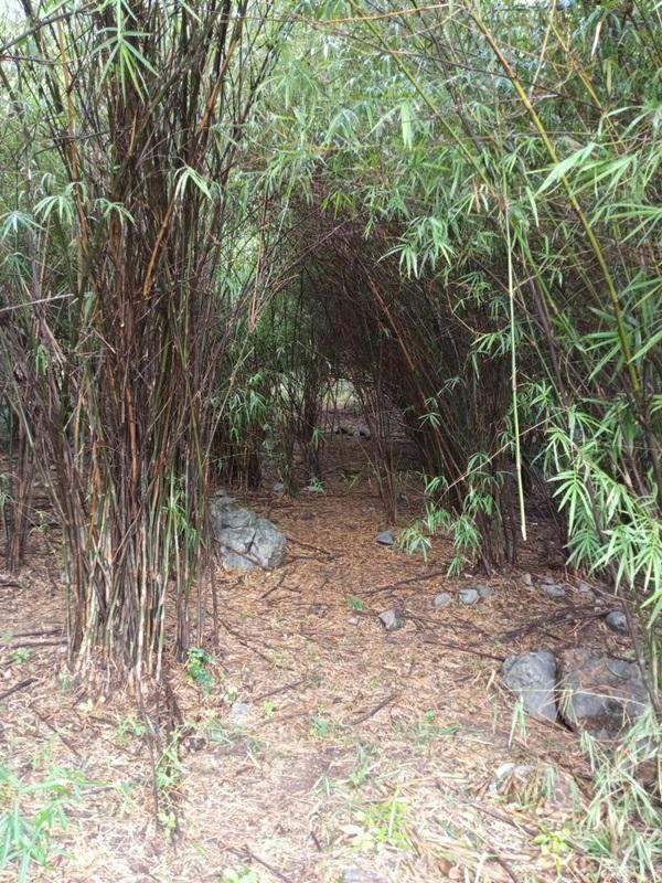 ขายด่วน! ที่ดินเปล่า ทำเลดี ใกล้เมืองนครสวรรค์ เนื้อที่ 160 ตร.ว. โทร 092-6869618 8