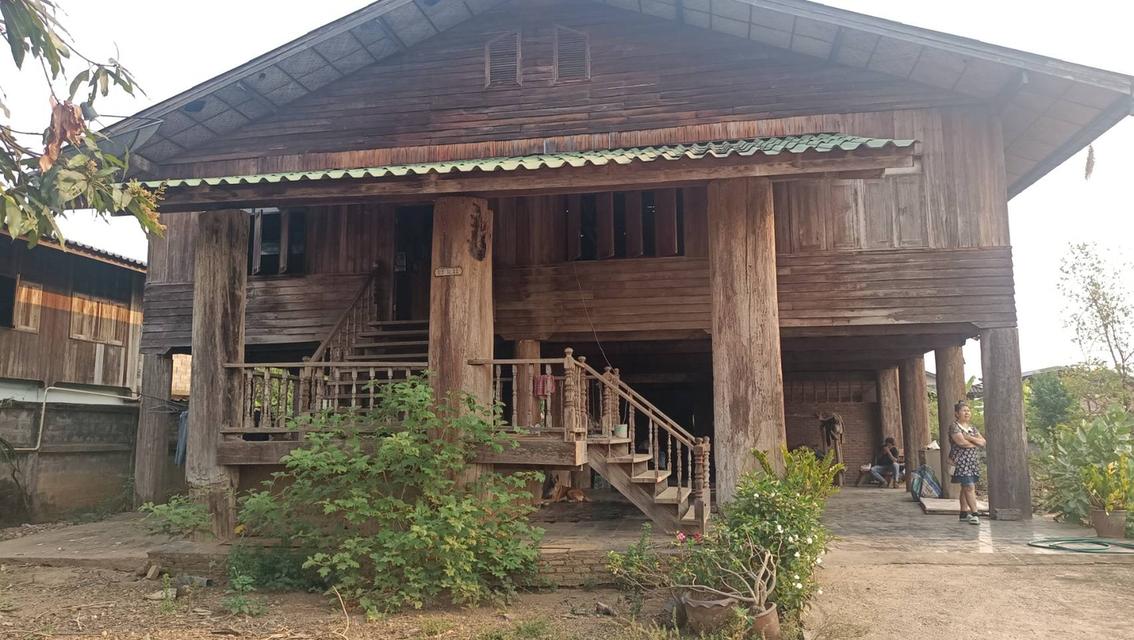 บ้านไม้สักเก่า อายุ 30 ปี เสาขนาดใหญ่ 170-220 ซม. ยาว 6 เมตร จำนวน 25 ต้น (ขายเฉพาะบ้าน/ที่ดินไม่ขาย)